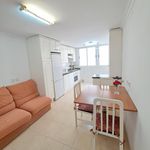 Alquilar 5 dormitorio apartamento en Alicante