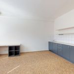 Rent 1 bedroom apartment of 38 m² in Vršovice