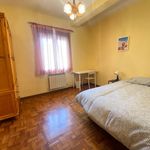 Rent 4 bedroom apartment in Pamplona