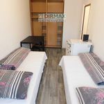 Rent 1 bedroom apartment of 19 m² in Plzeň