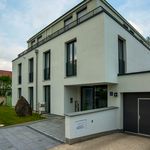Rent 1 bedroom apartment in Munich