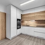 Rent 1 bedroom apartment of 53 m² in Pardubice