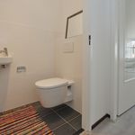 Rent 4 bedroom apartment of 120 m² in Pijnacker