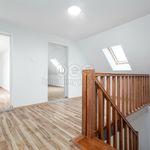 Rent 1 bedroom house in Frydek-Mistek
