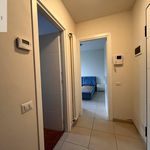 Affitto 2 camera appartamento di 60 m² in Diano Castello