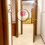Rent 2 bedroom apartment of 100 m² in Lanciano