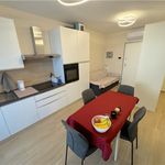 Rent 1 bedroom apartment of 47 m² in Parma