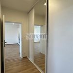Rent 3 bedroom apartment of 73 m² in Ceské Budejovice