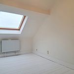 Rent 4 bedroom house of 313 m² in Tervuren