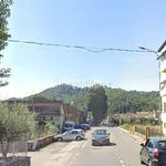 Rent 2 bedroom apartment of 55 m² in Lucca