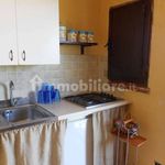 Rent 1 bedroom apartment of 37 m² in Montauro