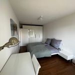 Miete 2 Schlafzimmer wohnung von 65 m² in Neuhofen