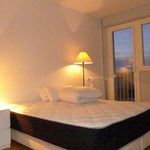 Rent 1 bedroom apartment of 56 m² in Motte-Picquet, Commerce, Necker