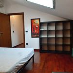Affitto 5 camera appartamento di 114 m² in Cervia