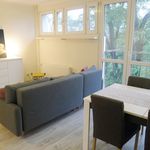 Rent 2 bedroom apartment of 45 m² in Warszawa