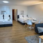 Miete 1 Schlafzimmer wohnung von 50 m² in Bad Liebenzell