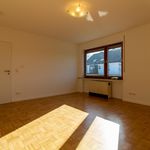 Rent 1 bedroom apartment of 37 m² in Trier