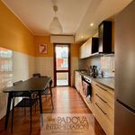 Affitto 5 camera appartamento di 110 m² in Padova