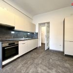 Rent 1 bedroom apartment of 40 m² in Náchod