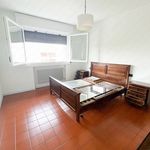 Rent 4 bedroom apartment of 102 m² in Castelmassa