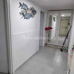 Affitto 3 camera appartamento di 60 m² in Pescara