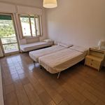 Rent 1 bedroom apartment of 90 m² in San Gimignano