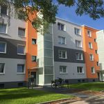 Rent 3 bedroom apartment of 49 m² in Dusseldorf