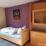 Miete 1 Schlafzimmer wohnung von 16 m² in Braunschweig