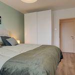 Rent 2 bedroom apartment of 73 m² in Arnhem