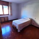 Alquilo 5 dormitorio apartamento de 240 m² en Málaga