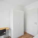 Rent 4 bedroom apartment in Graz