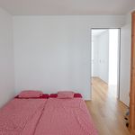 Rent 2 bedroom apartment in Suhr