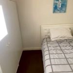 Rent 1 bedroom student apartment in Adelaide