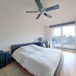 Rent 1 bedroom apartment in Houthalen-Helchteren