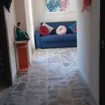 Rent 3 bedroom apartment of 65 m² in San Nicandro Garganico