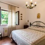 Rent 2 bedroom apartment of 49 m² in Campo di Giove