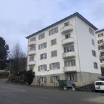 Rent 3 bedroom apartment in Val-de-Ruz