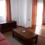 Rent 3 bedroom apartment of 130 m² in Cádiz