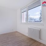 Pronajměte si 1 ložnic/e byt o rozloze 31 m² v Prostějov