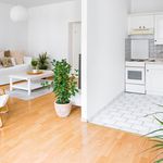 Rent 1 bedroom apartment of 65 m² in Dresden
