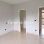 Rent 3 bedroom apartment of 90 m² in Giovinazzo