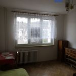Pronajměte si 2 ložnic/e dům v Karlovy Vary