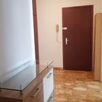 Rent 2 bedroom apartment of 70 m² in Massagno