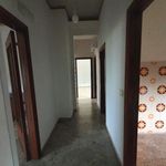 Affitto 1 camera appartamento di 150 m² in Cittanova