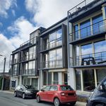 Rent 2 bedroom apartment of 37 m² in Namur