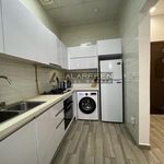 Rent 1 bedroom apartment of 813 m² in Dubai