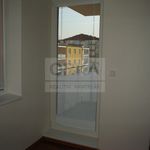 Rent 2 bedroom apartment of 64 m² in Olomouc