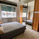 Rent 2 bedroom apartment of 65 m² in Novara