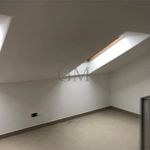 Rent 3 bedroom apartment of 75 m² in Torino