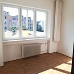 Pronajměte si 1 ložnic/e byt o rozloze 146 m² v Kroměříž